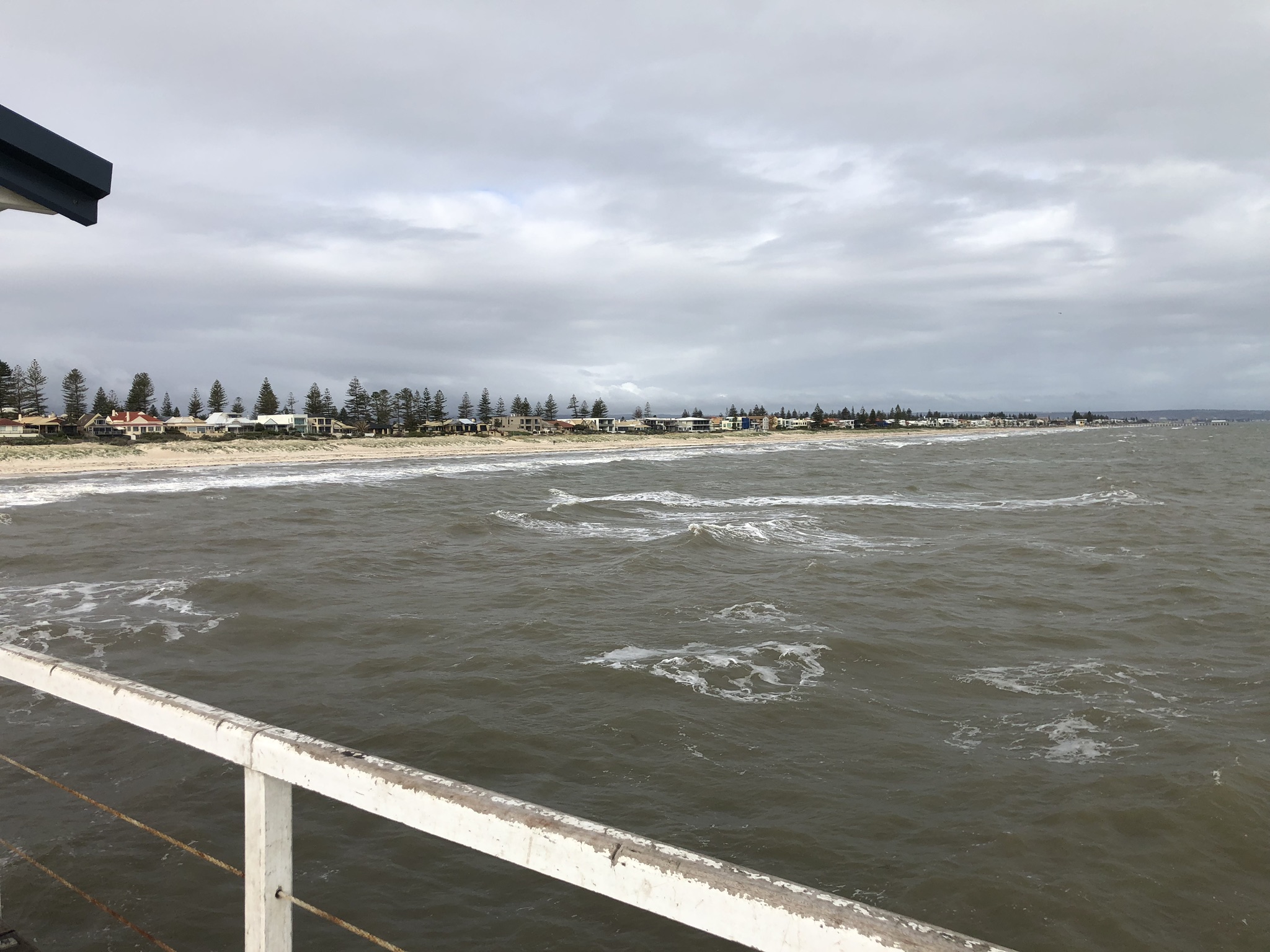 2019 07 17 13 46 52 iPhone X 0005